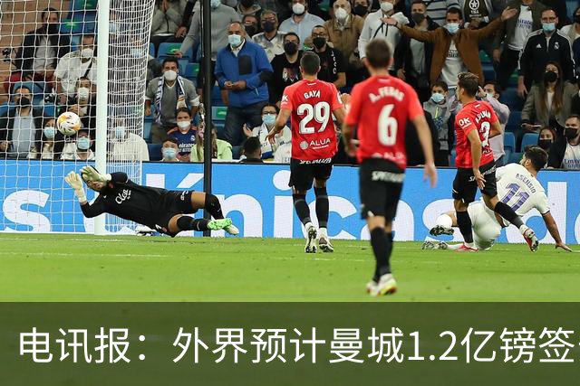 电讯报：外界预计曼城1.2亿镑签安德森 担忧这一价格引发连锁反应